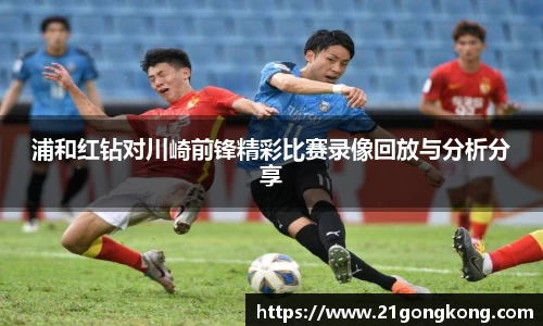 zoty中欧