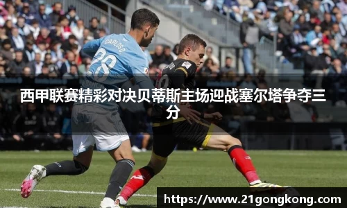 zoty中欧