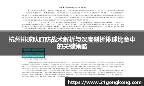 zoty中欧